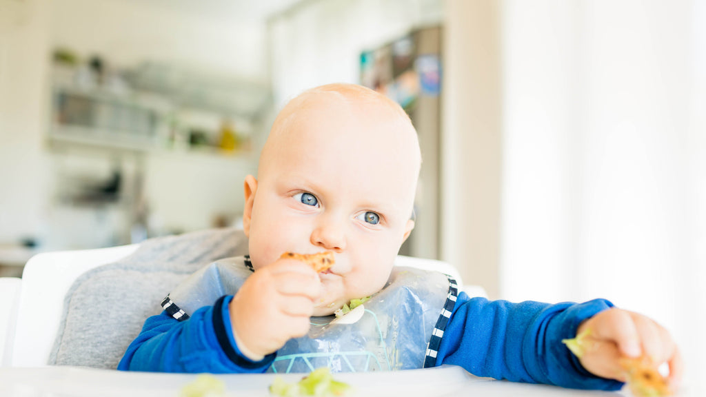 Quando introduzir pão na alimentação do bebé?