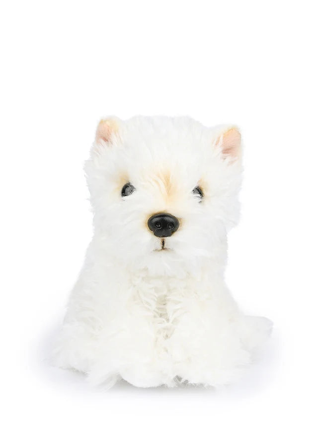 B.T. Chaps Timothy the Scottish Terrier in giftbox - Bon Ton Toys