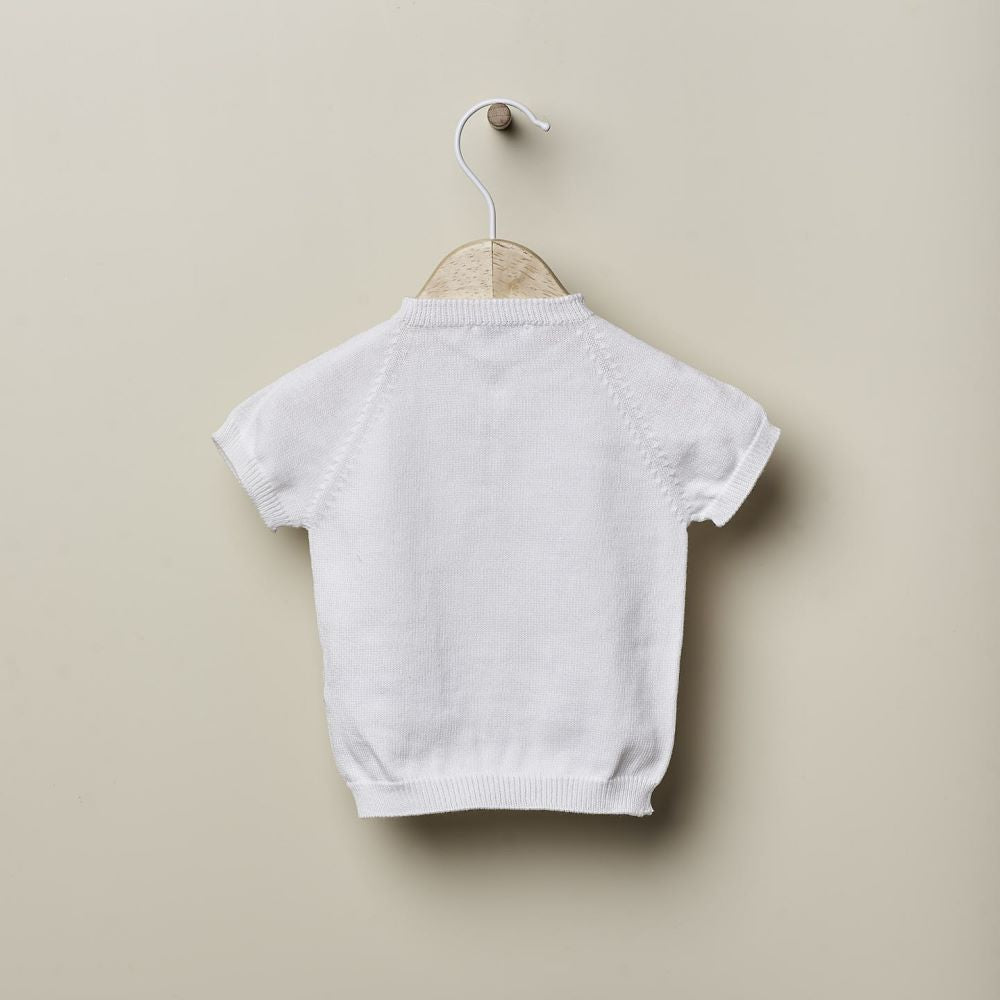 Camisola de manga curta tricotada em algodão | LITTLE LOVE - Wedoble