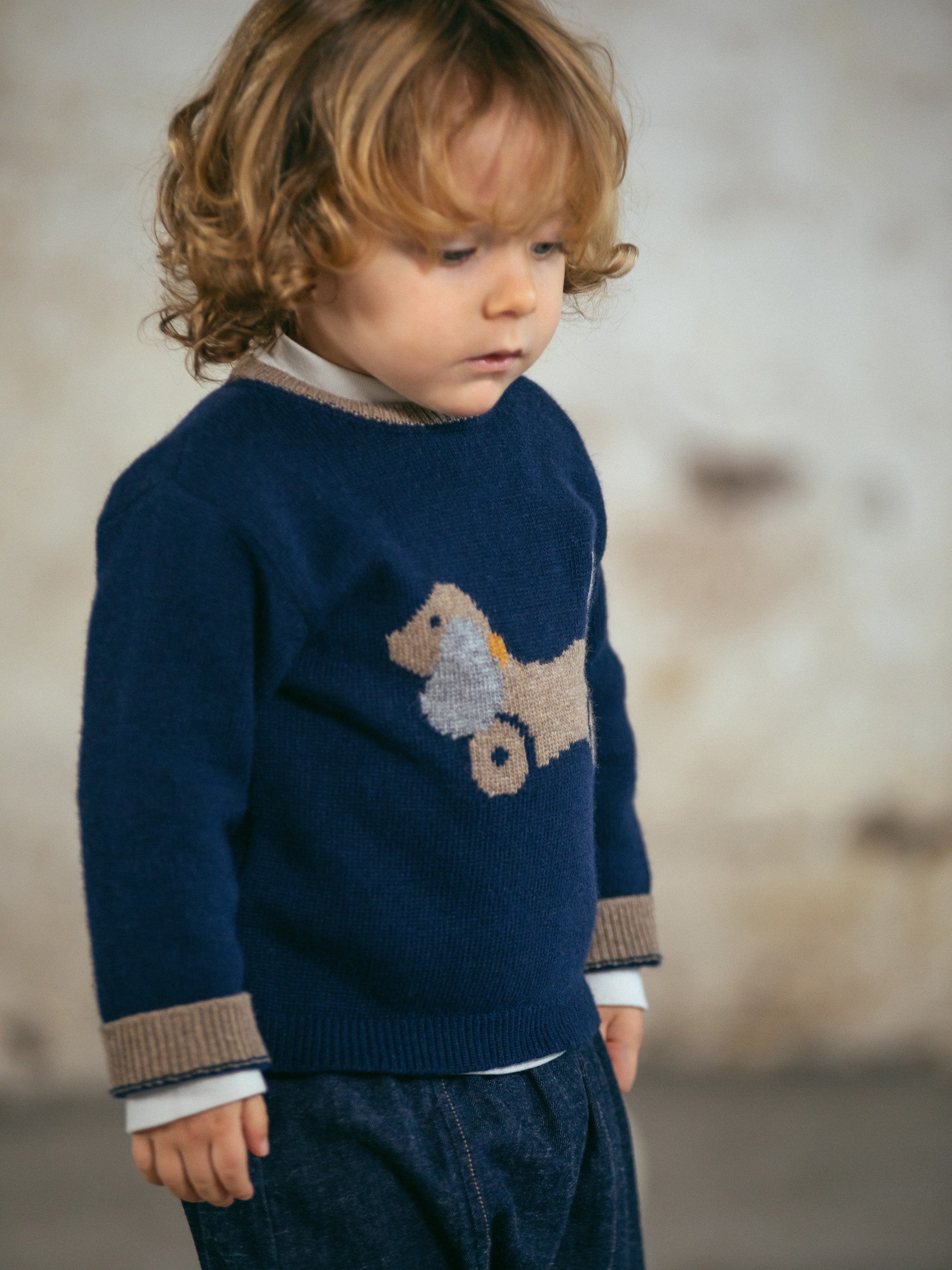 Camisola tricotada jacquard de cão - Snug