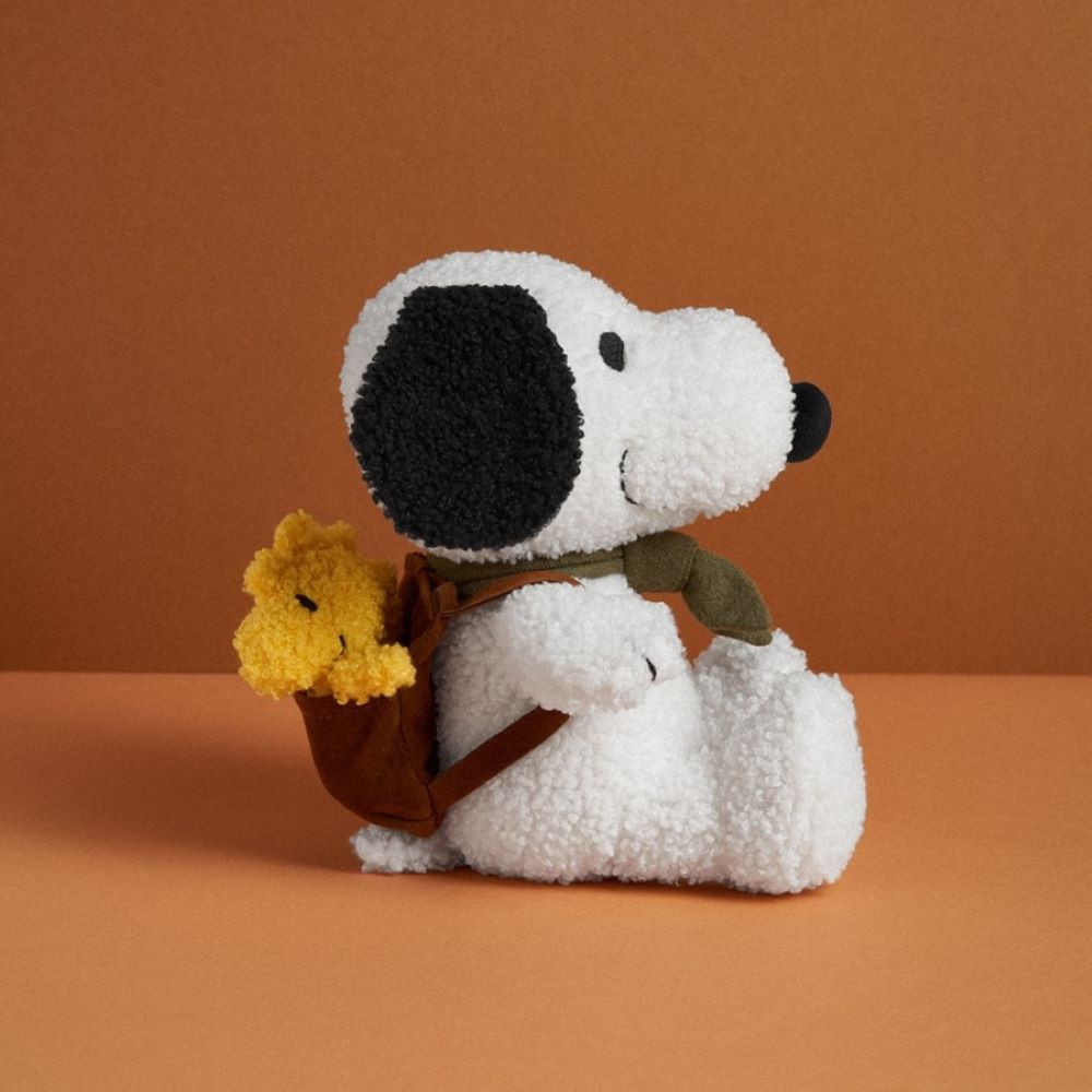 Snoopy e Woodstock na mochila - BON TON TOYS