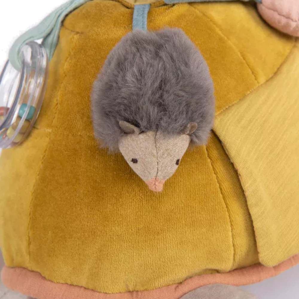 Tartaruga de actividades - Moulin Roty