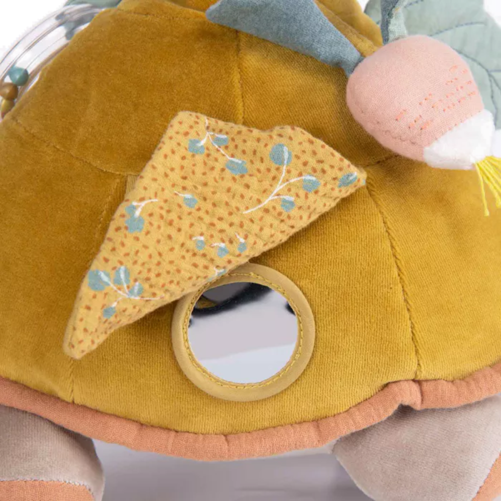 Tartaruga de actividades - Moulin Roty