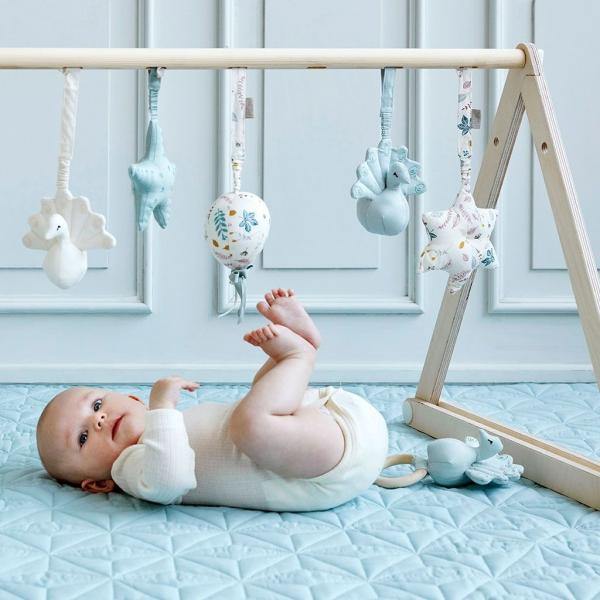 2in1 Play Tent/Gym - Cam cam - chuvadeamor