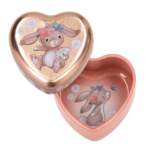 Caixinha de dentes - Princess Mimi