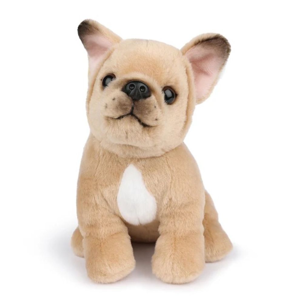 Philippe the French Bulldog - BT Chaps