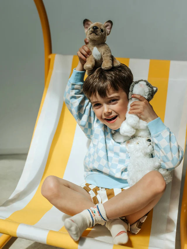 Philippe the French Bulldog - BT Chaps