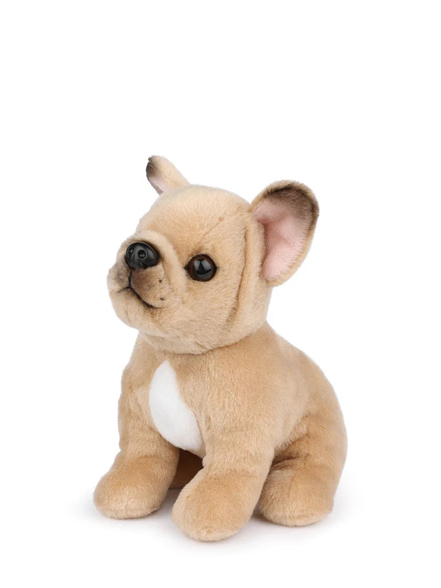 Philippe the French Bulldog - BT Chaps