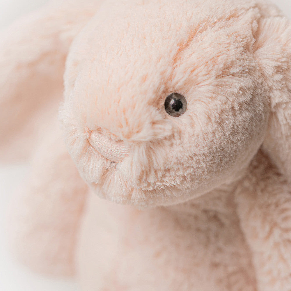 Bashful Blush Bunny - JELLYCAT