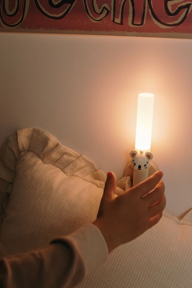 Zoo Light - THE ZOOFAMILY