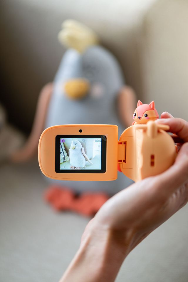 Zoo Video Cam - THE ZOOFAMILY