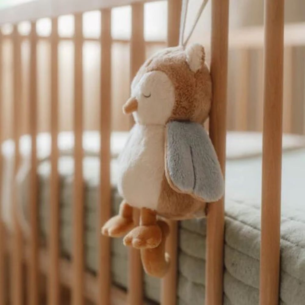 Caixa de Música Coruja - Forest Friends - Little Dutch