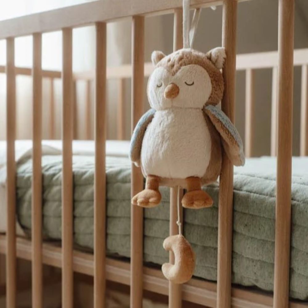 Caixa de Música Coruja - Forest Friends - Little Dutch