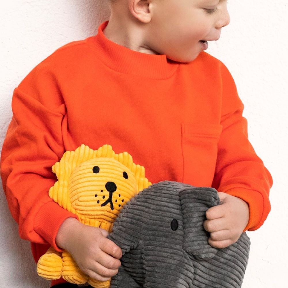 LION Eco - BON TON TOYS
