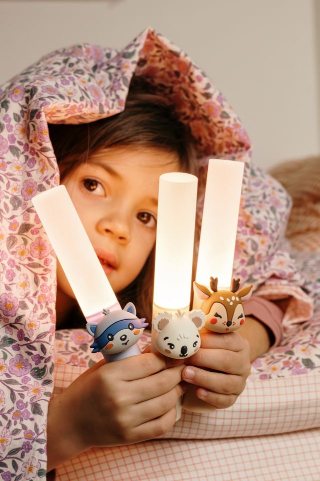 Zoo Light - THE ZOOFAMILY
