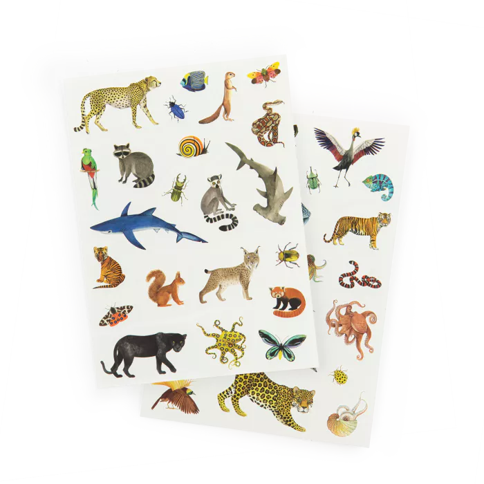 Tatuagens temporários - Moulin Roty