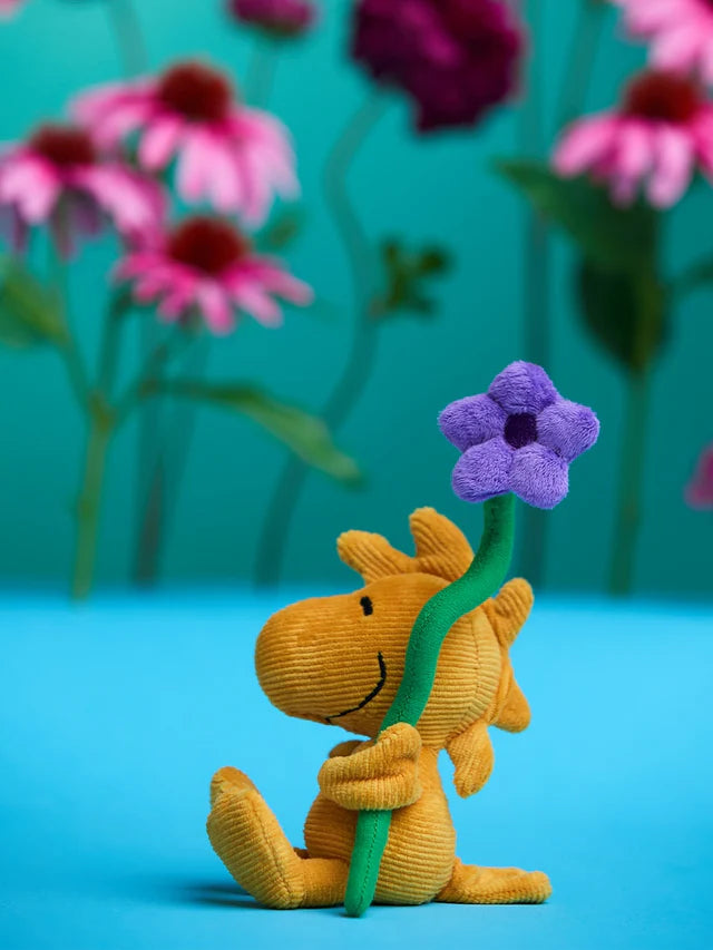 Woodstock Mini Corduroy com Flor - BON TON TOYS