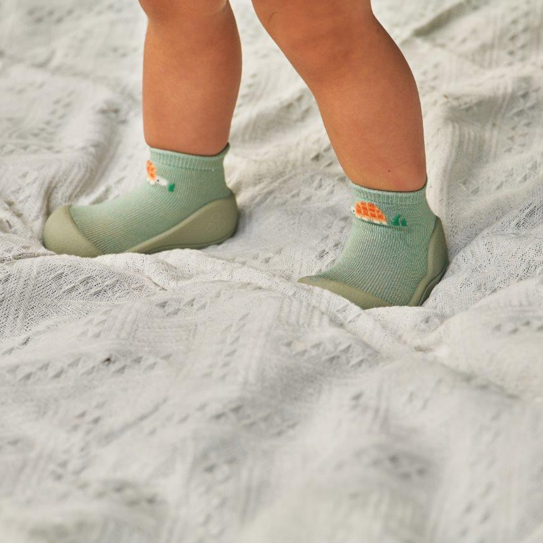 Tortoise Green - Attipas