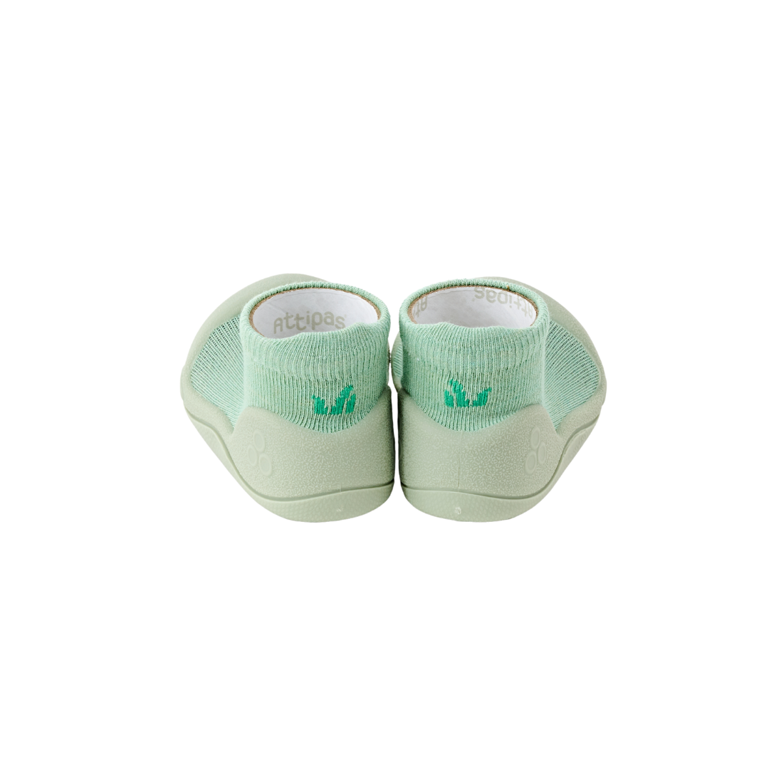 Tortoise Green - Attipas