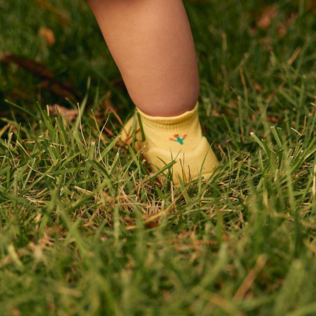 Bird Yellow - Attipas