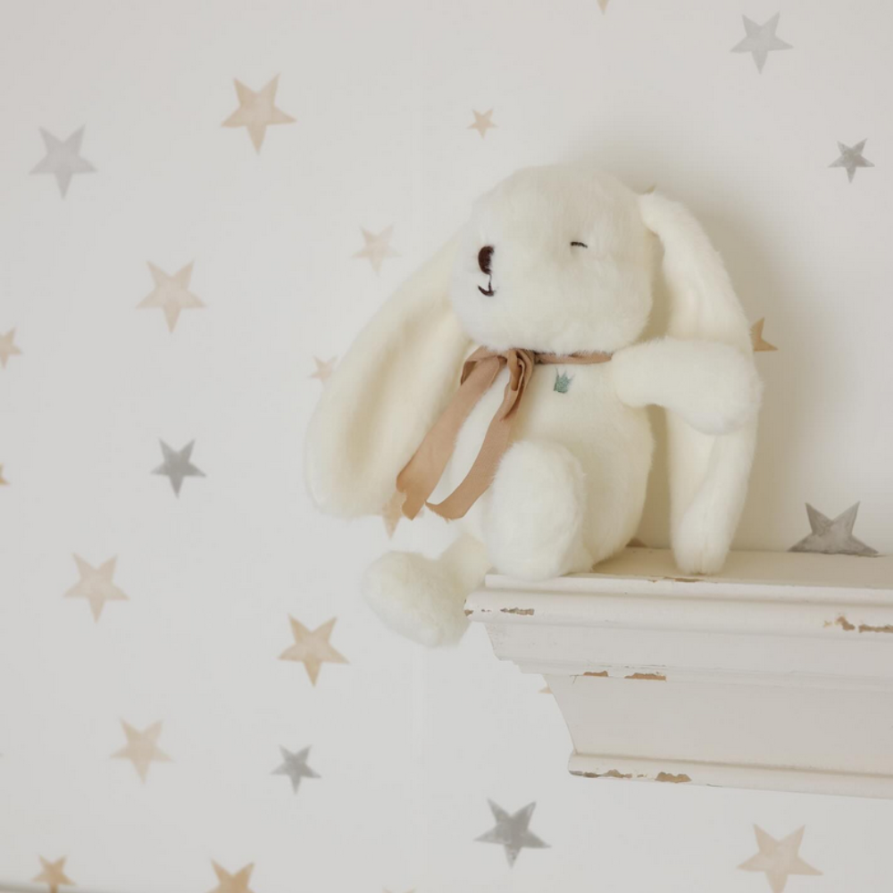 Peluches Coelhinho - BEAU