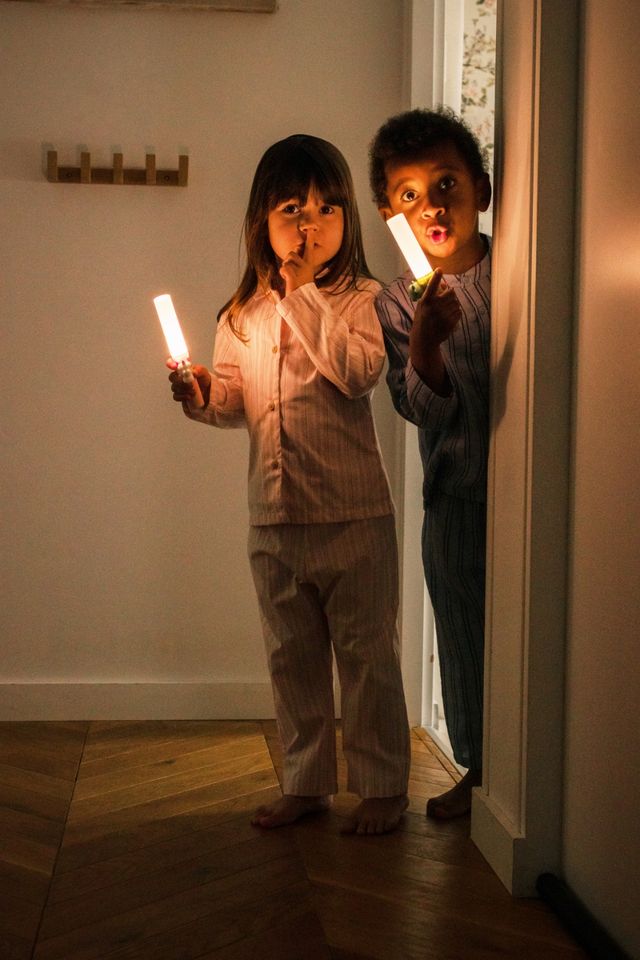 Zoo Light - THE ZOOFAMILY