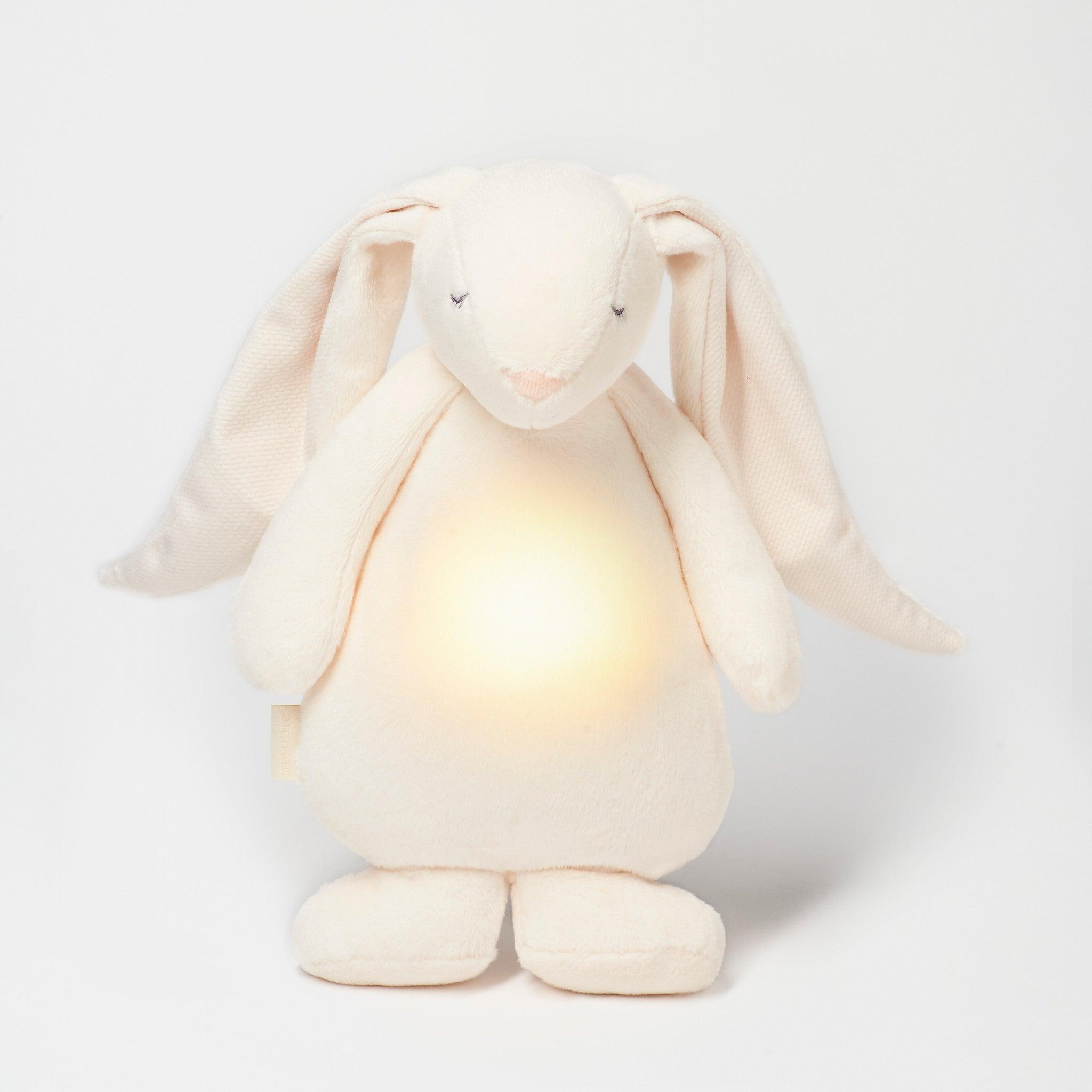 Coelhinho "ORGANIC BUNNY WITH A LAMP" - chuvadeamor