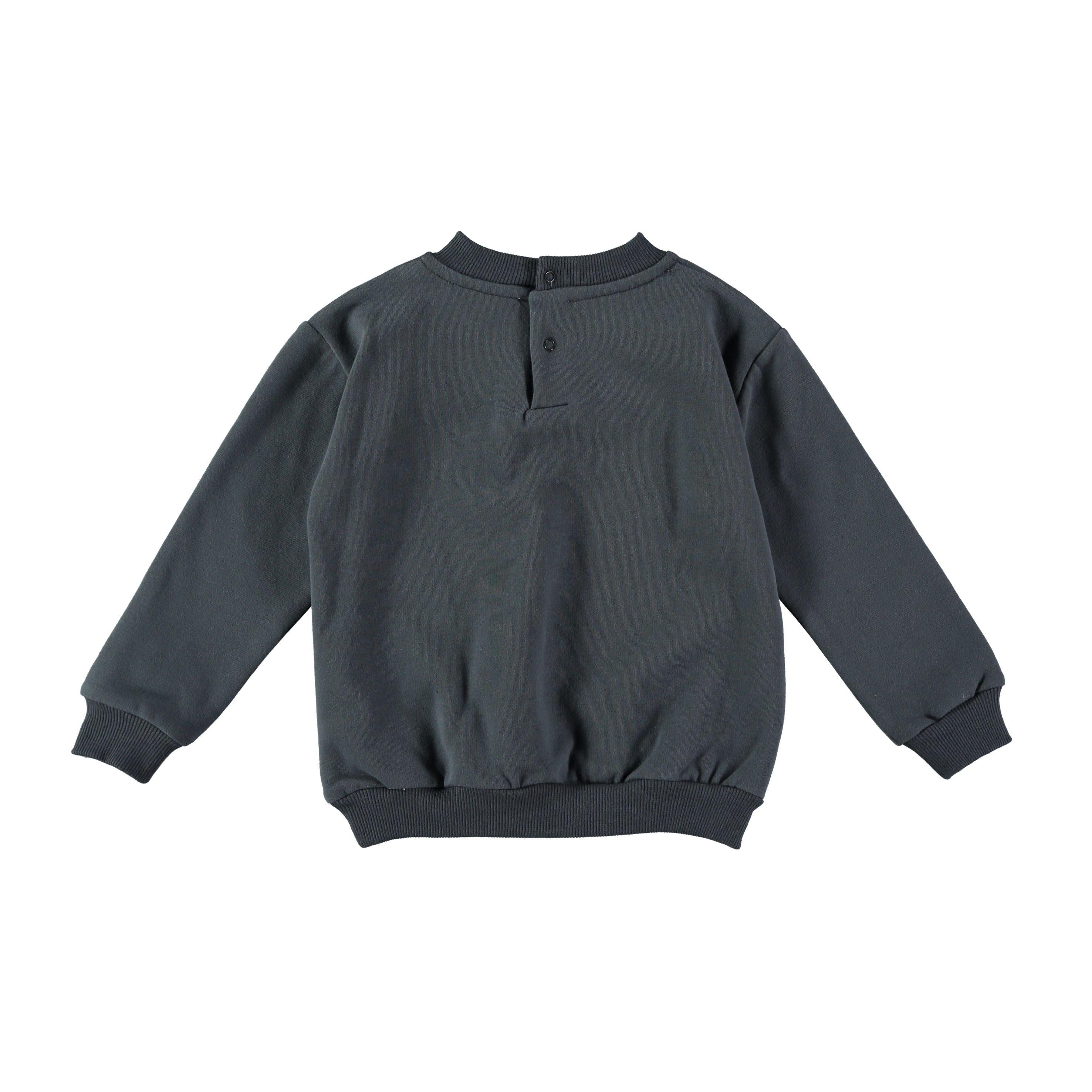 Sweatshirt algodão ORGÂNICO - Babyclic