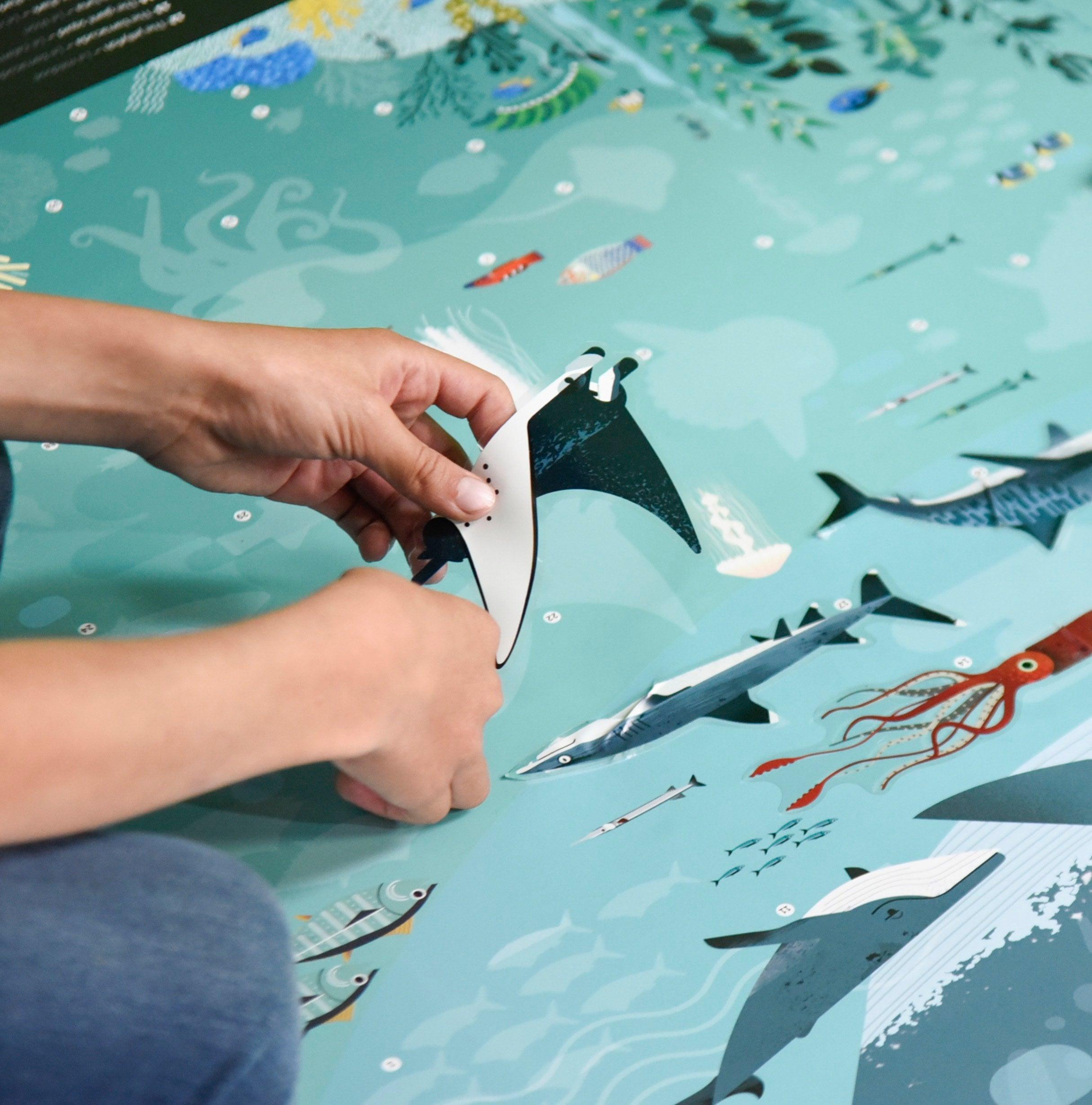 O meu poster de autocolantes dos 5 aos 10 anos - POPPIK