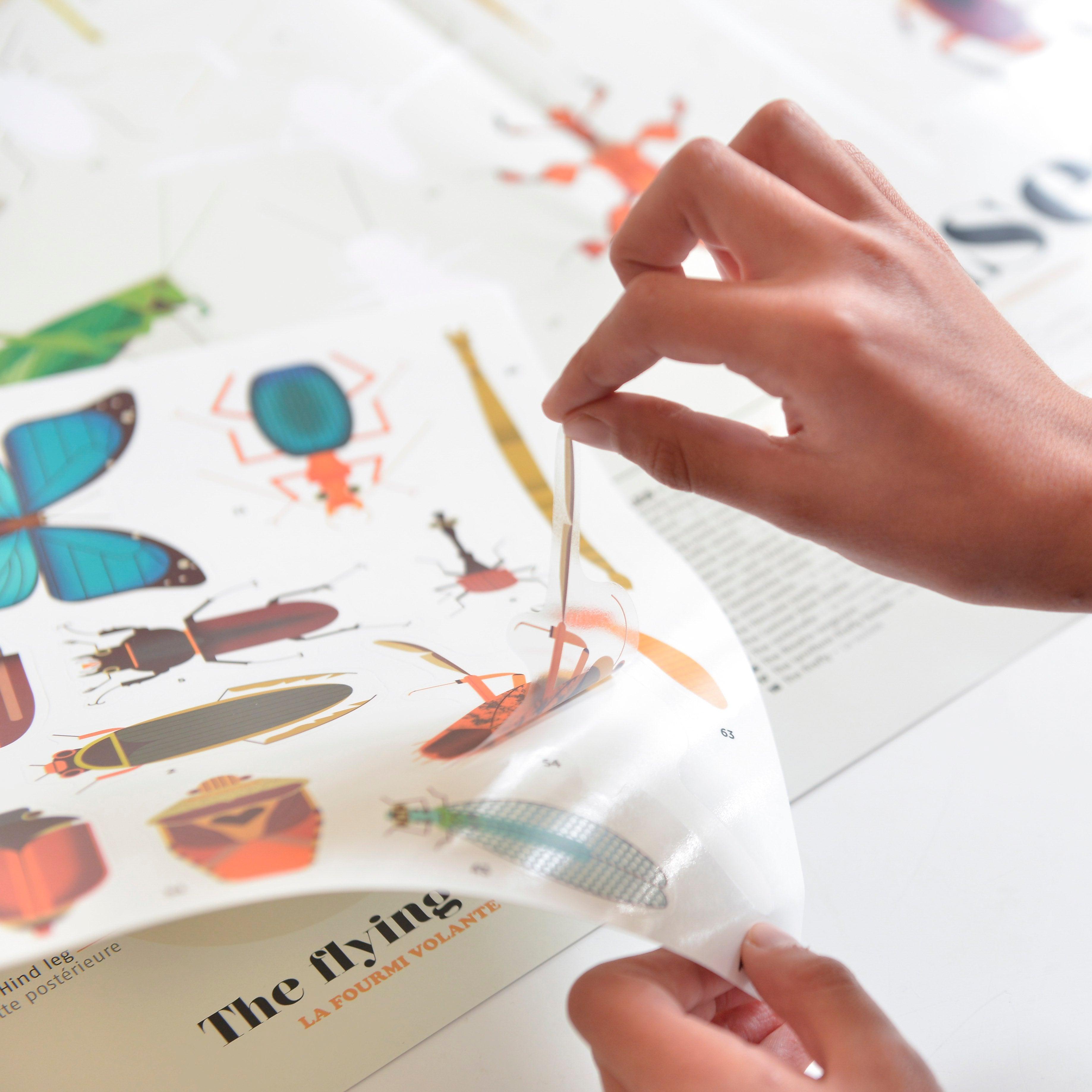 O meu poster de autocolantes dos 5 aos 10 anos - POPPIK